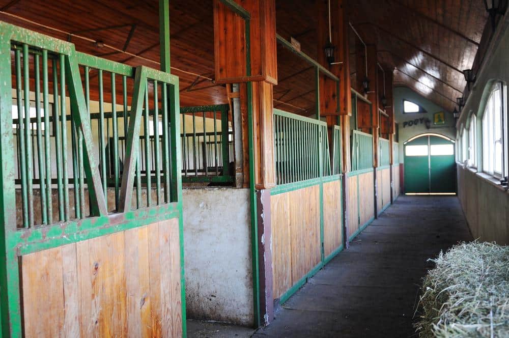 paardenmest afvoeren: tips en advies