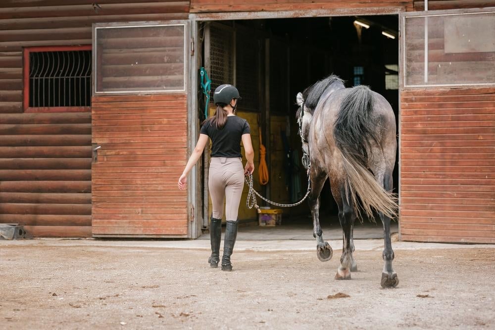 advies om paardenstal ut te mesten