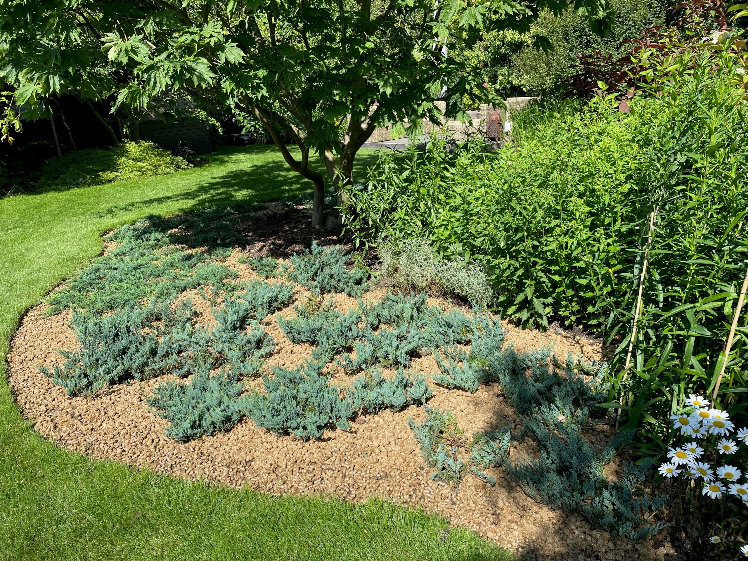 pellets de paille contre les mauvaises herbes