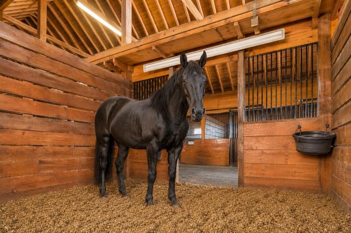 Stropellets voor paardenstallen