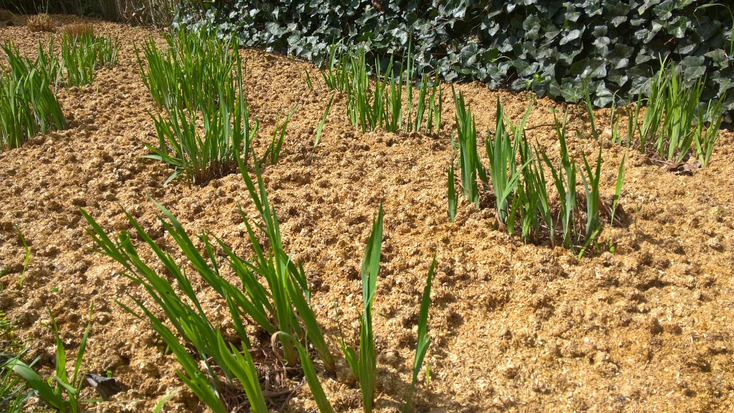 stropellets in de tuin